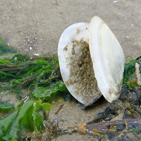 아파트 Klabautermann *