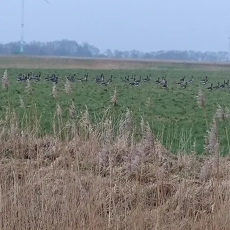 Klabautermann * Hage