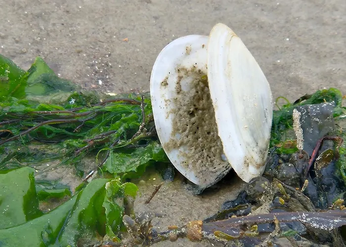 Appartamento Klabautermann *