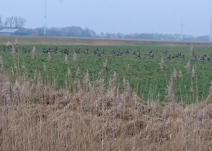 Klabautermann * Hagermarsch